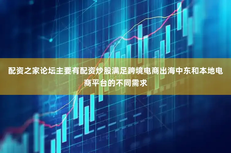 配资之家论坛主要有配资炒股满足跨境电商出海中东和本地电商平台的不同需求