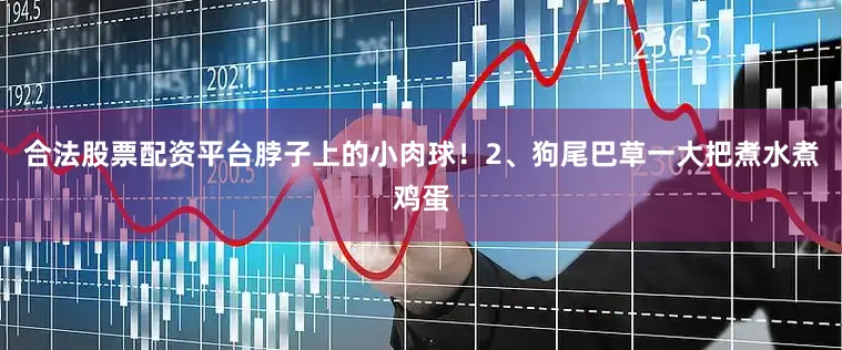 合法股票配资平台脖子上的小肉球！2、狗尾巴草一大把煮水煮鸡蛋