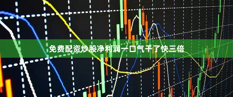 免费配资炒股净利润一口气干了快三倍